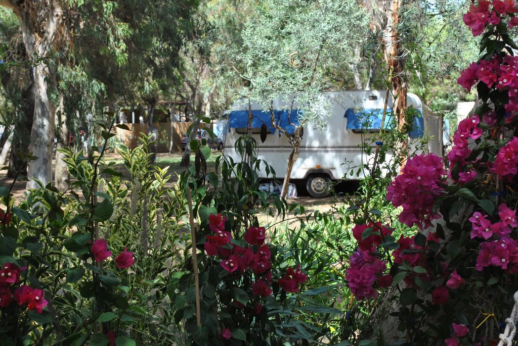Camping Village Baia Falcone ヴィエステ エクステリア 写真